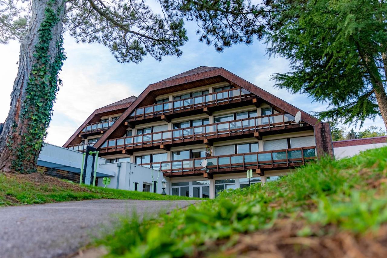 Village Vacances Cap France La Bolle Saint-Die-des-Vosges Ngoại thất bức ảnh