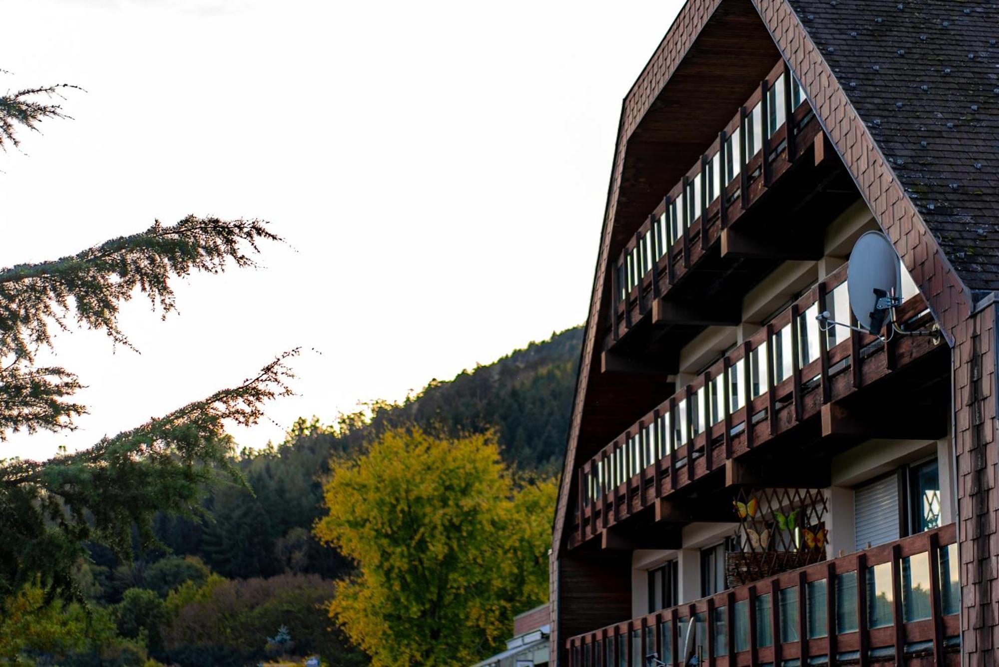 Village Vacances Cap France La Bolle Saint-Die-des-Vosges Ngoại thất bức ảnh